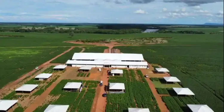 agro Colinas do TO 2025 600