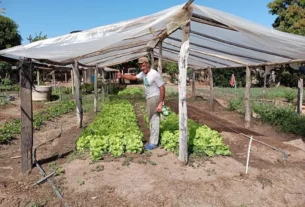 visita hortas urbanas e rurais em Colinas do TO