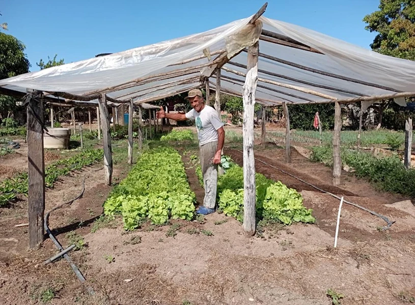 visita hortas urbanas e rurais em Colinas do TO