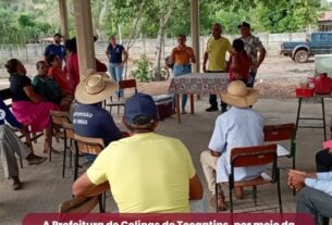 fortalecendo a agricultura familiar Colinas do TO