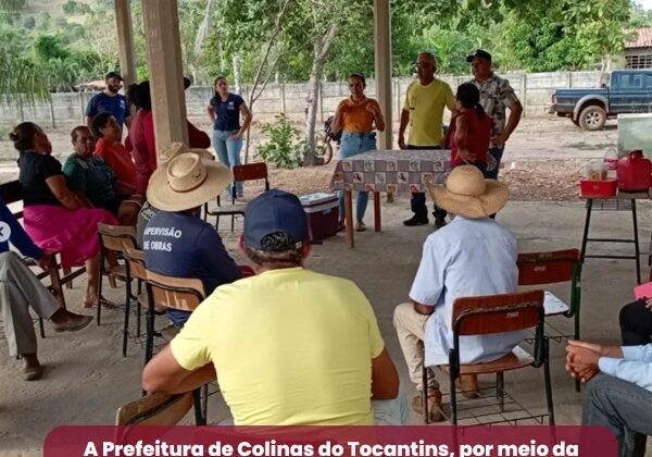 fortalecendo a agricultura familiar Colinas do TO