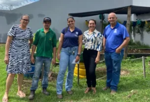 revitalizacao de hortas